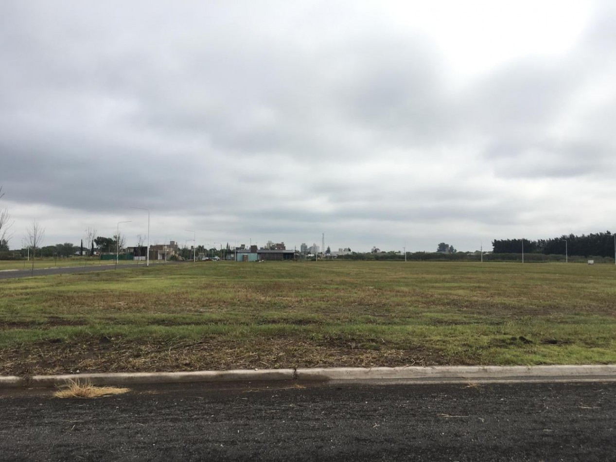 LOTES EN FRANCISCO I EN VENTA 