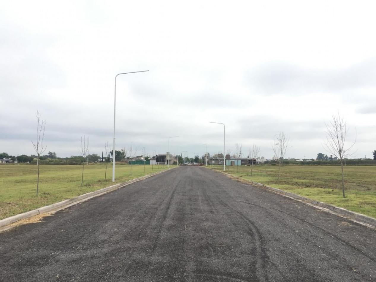 LOTES EN FRANCISCO I EN VENTA 